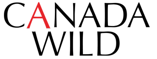 logo main